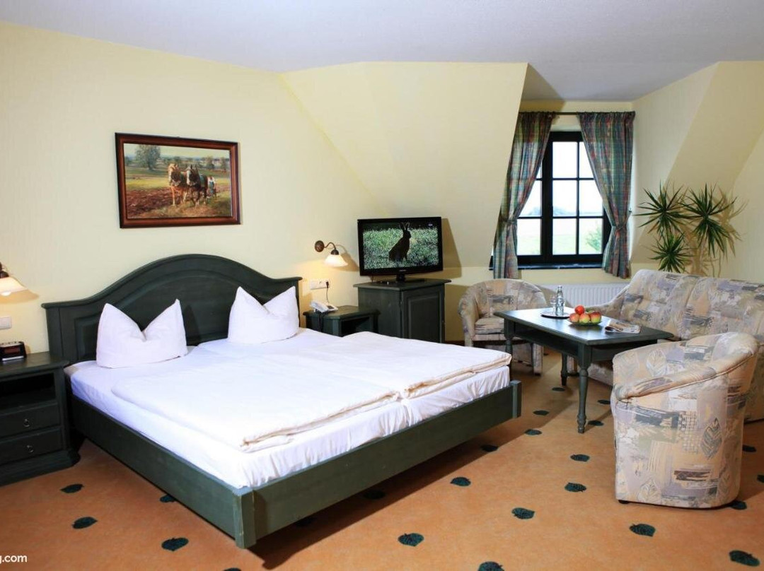 Mueritz Landhotel Gruener Baum主图