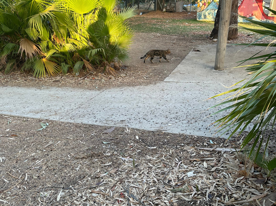 Hukuk Beach-Ginosar必去景点