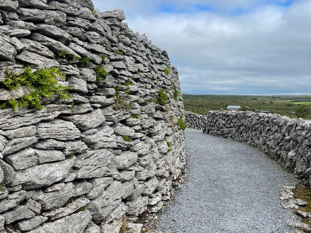 The Burren Visitor Centre景点图片