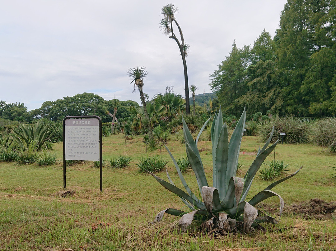 Botanical Gardens Faculty of Science Osaka City University-交野市必去景点