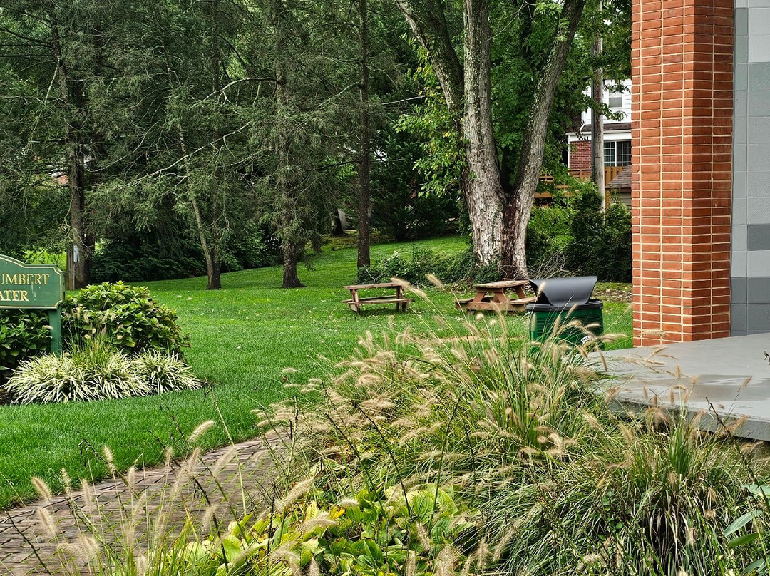 Shamrock Park-Bel Air必去景点