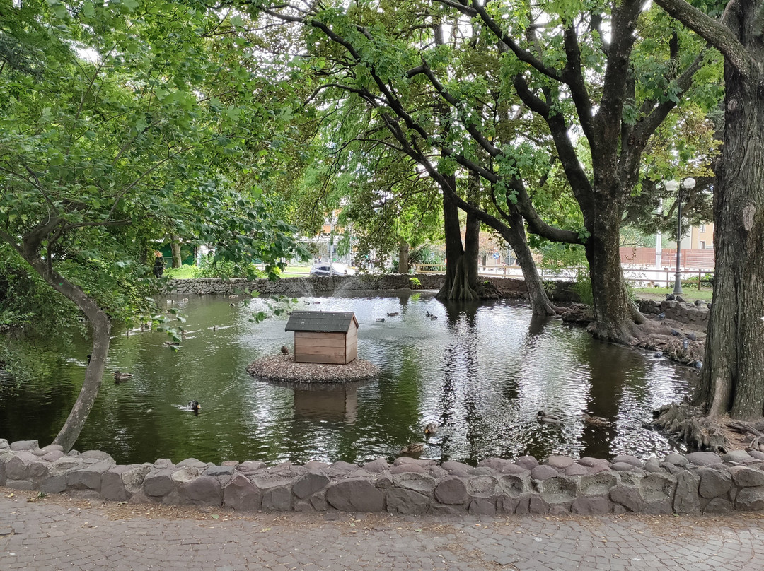 Parco Petrarca景点图片