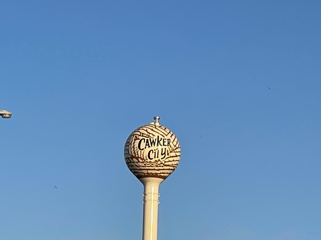 The World's Largest Ball of Sisal Twine景点图片