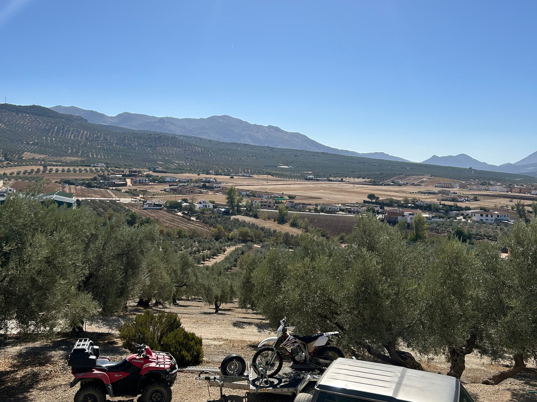 Trailworld景点图片