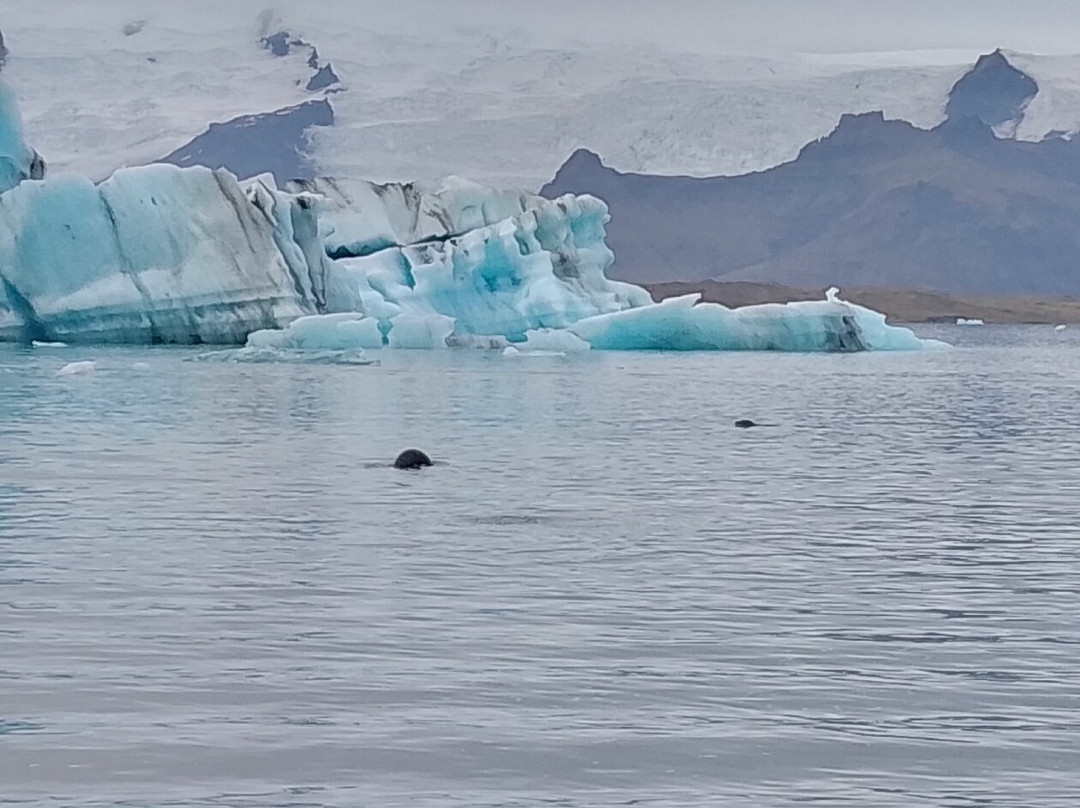 Glacier Lagoon景点图片