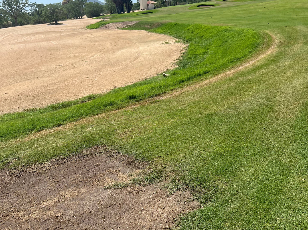 Cabo San Lucas Country Club-卡波圣卢卡斯必去景点