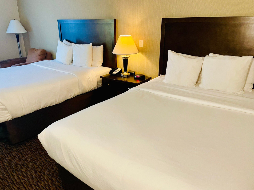 Comfort Inn & Suites Surrey主图