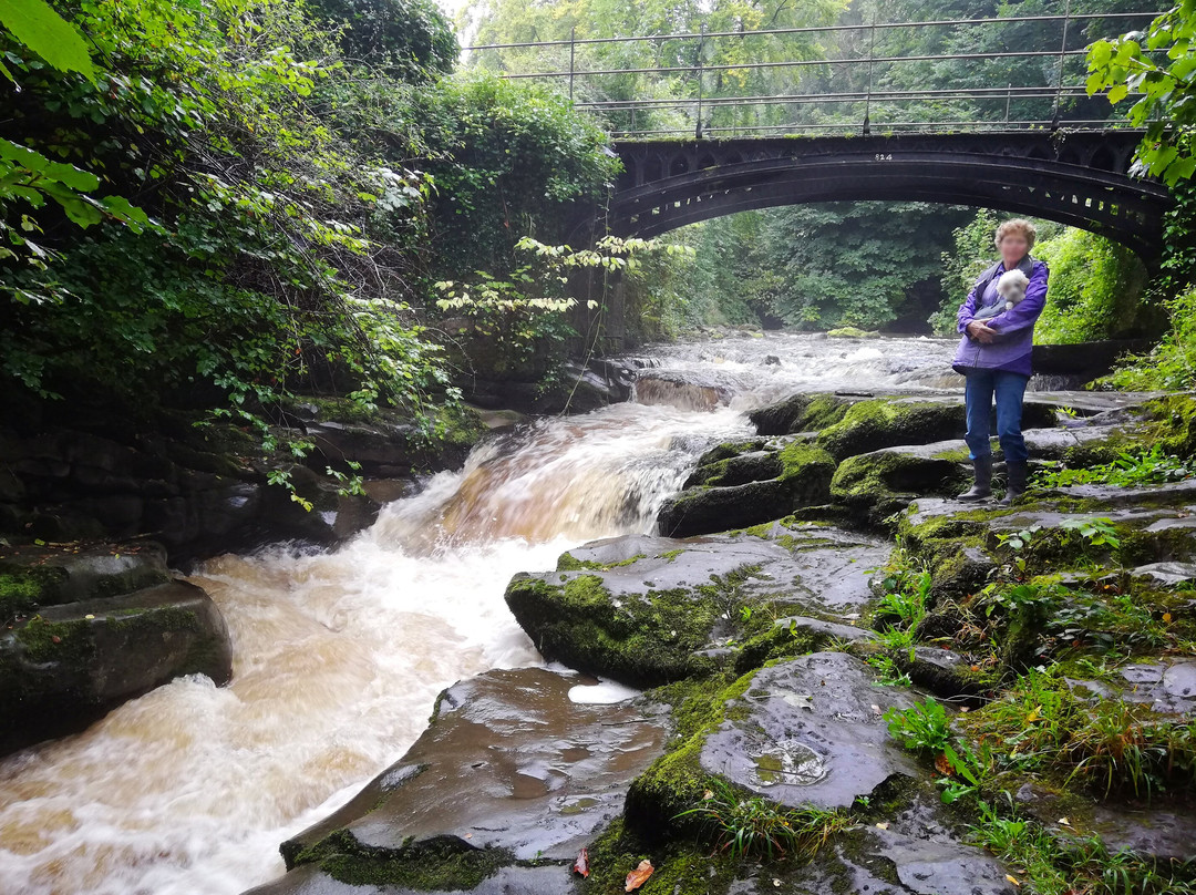 Clydach Gorge景点图片