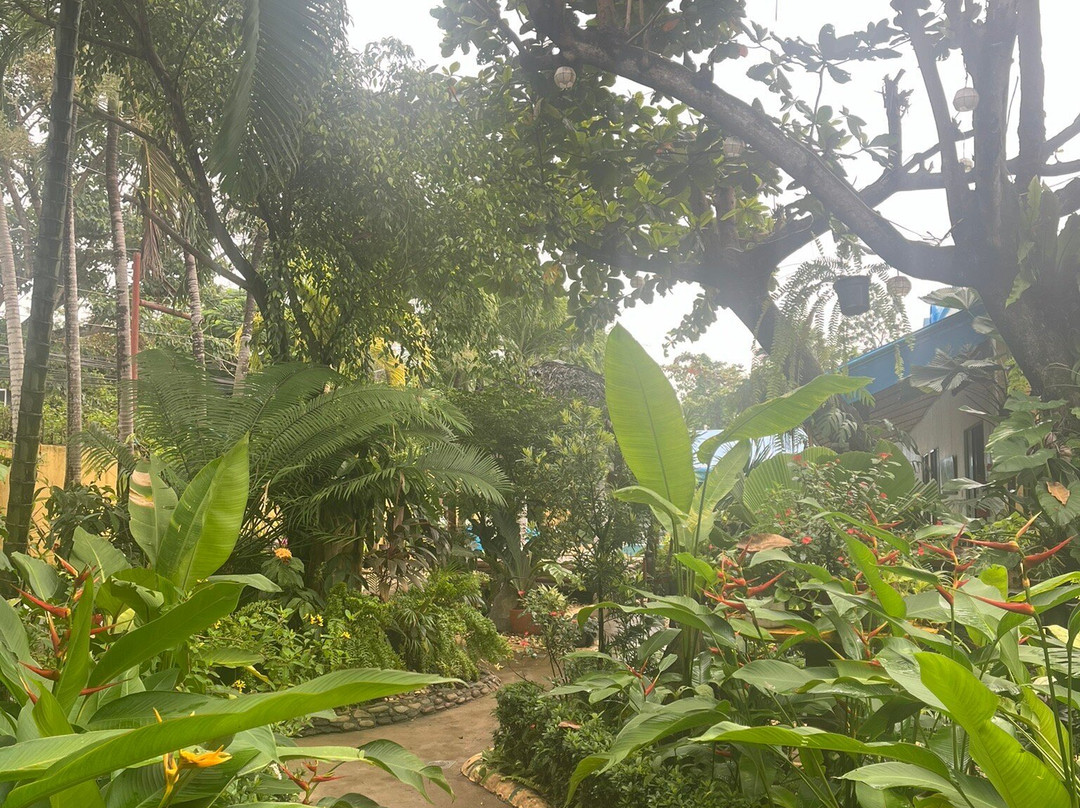 玫瑰之花别墅酒店主图