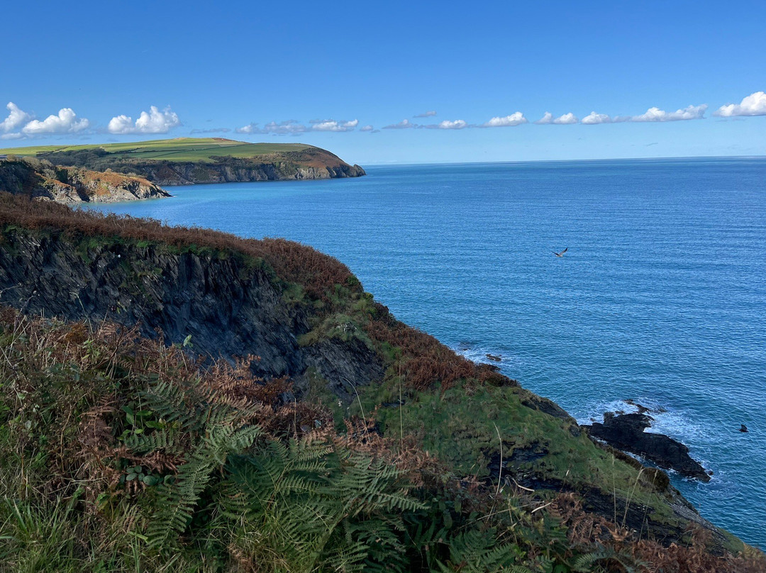 Pembrokeshire Coast National Park景点图片
