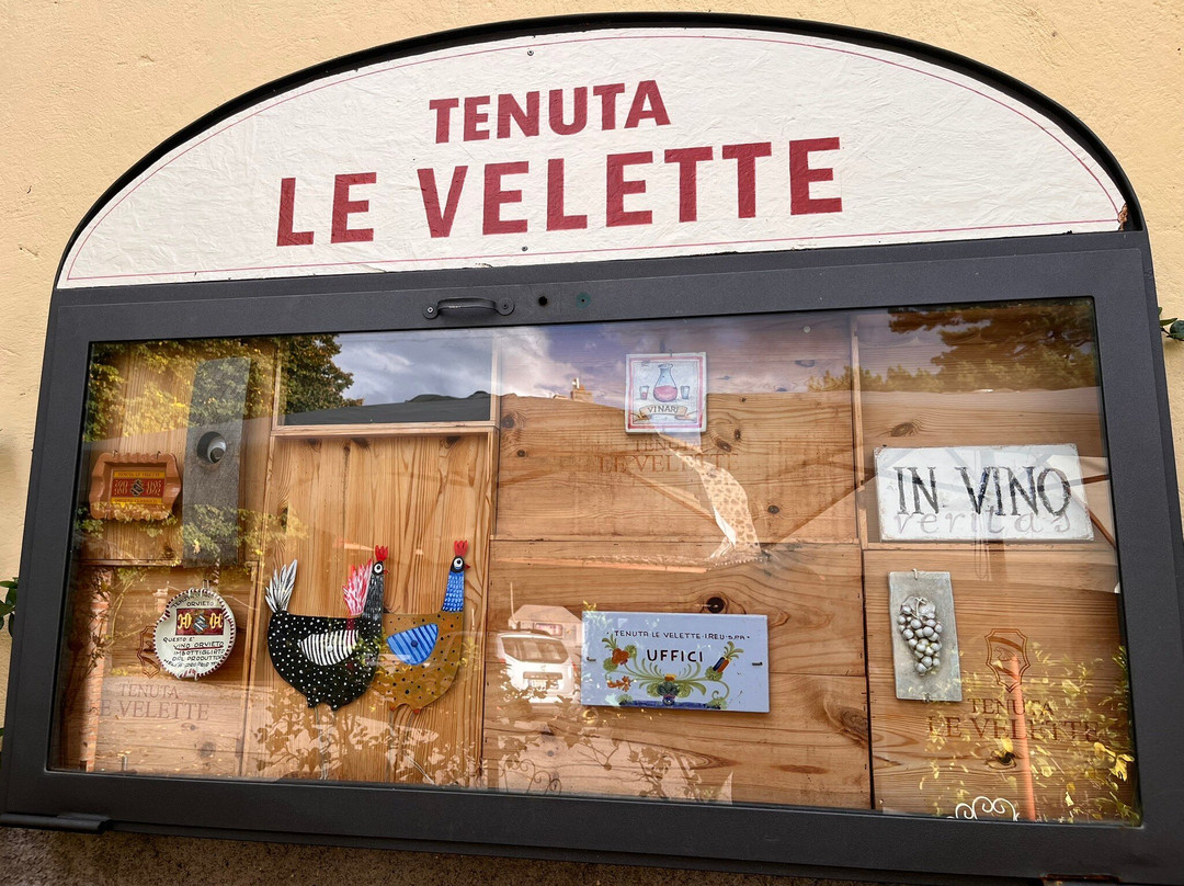 Tenuta Le Velette-奥尔维耶托必去景点