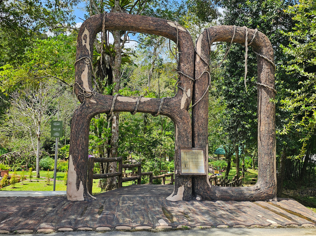 Bukit Patoi Forest Recreation Park-Bangar必去景点
