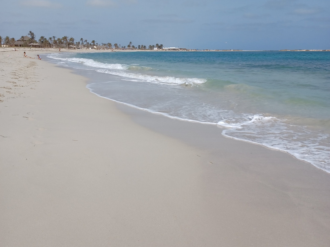 Plage De La Seguia-阿基尔必去景点