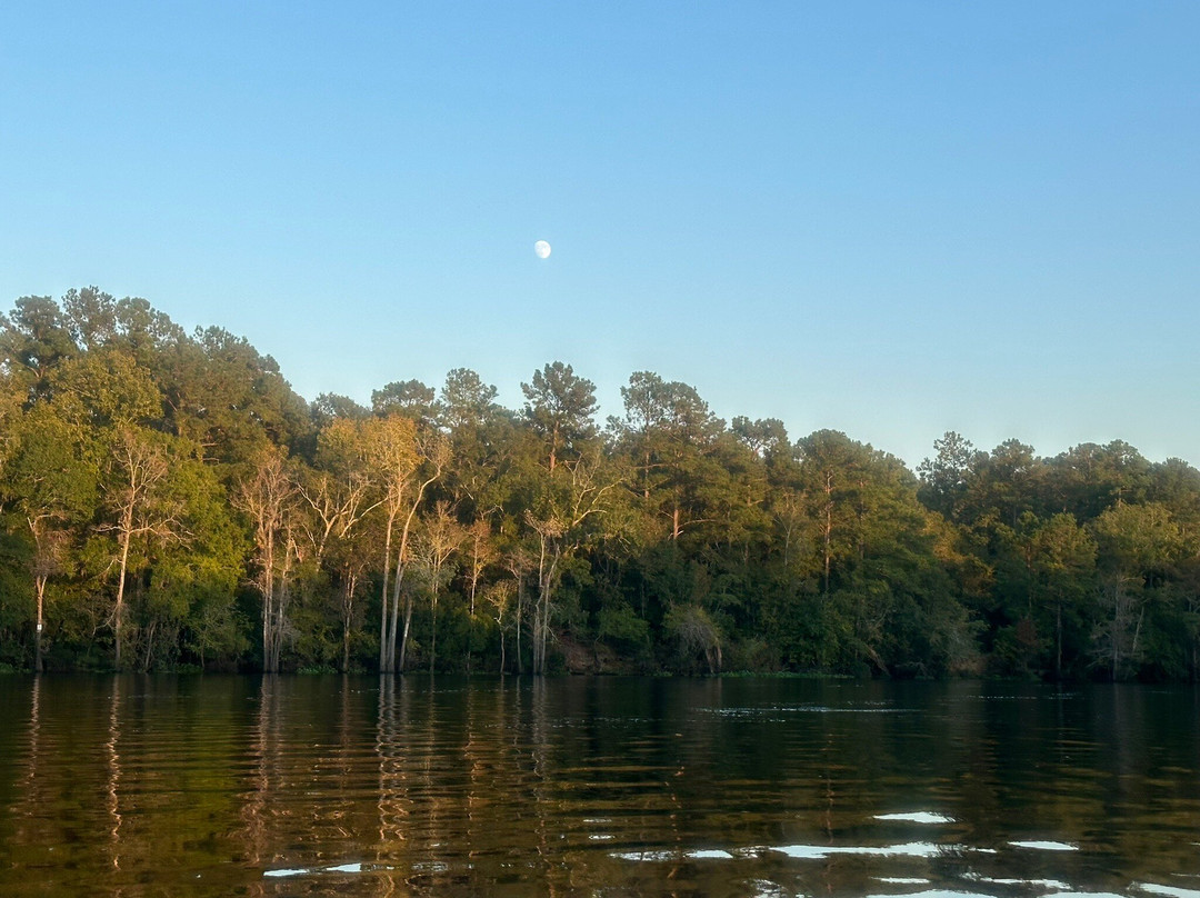 Jack's Surf Lessons and Board Rentals-美特尔海滩必去景点