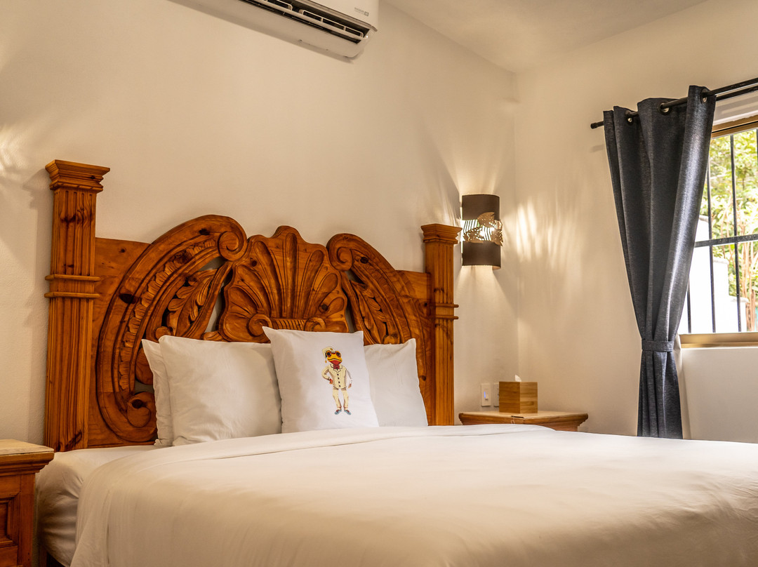 5 Frogs Hotel Bucerias