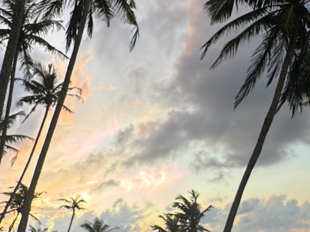 Indigo Lanka Travels-Aluthgama必去景点