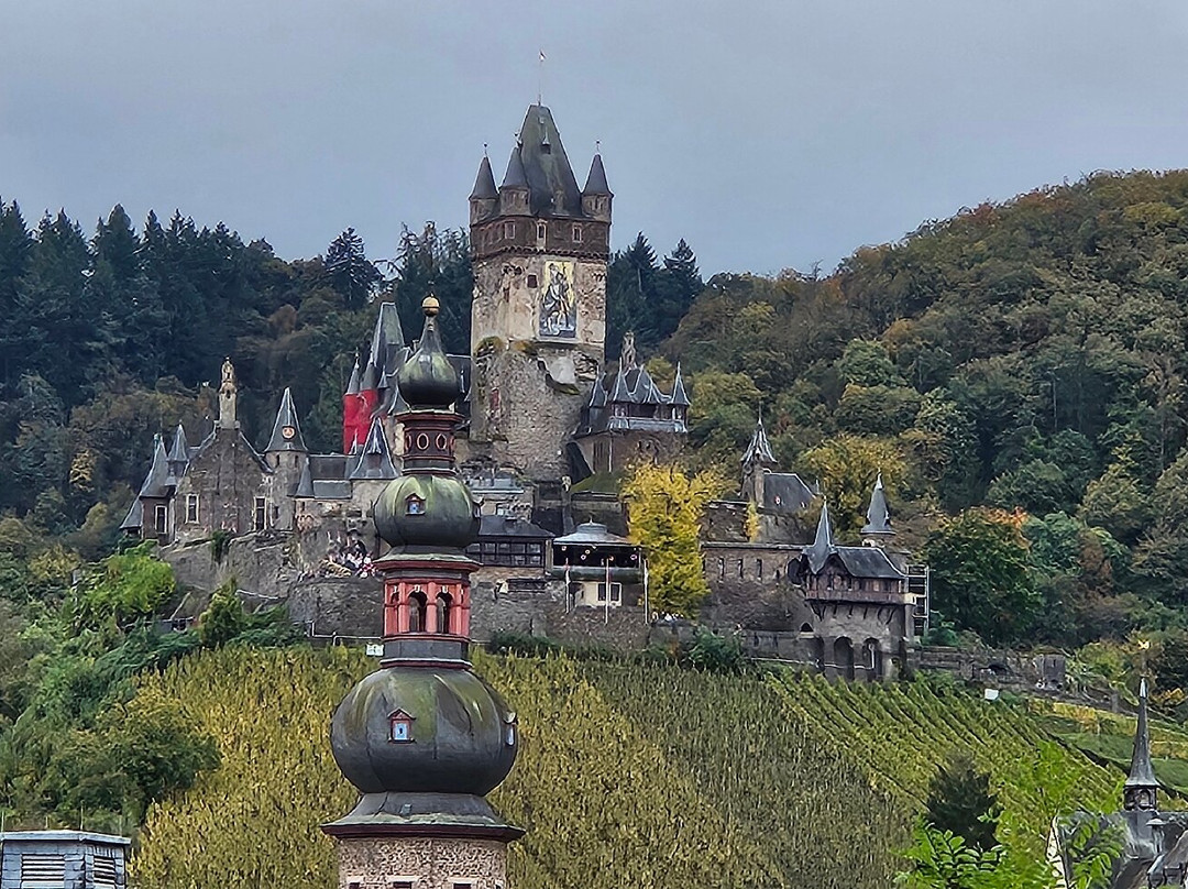 Ferienweingut SerwaziWein主图