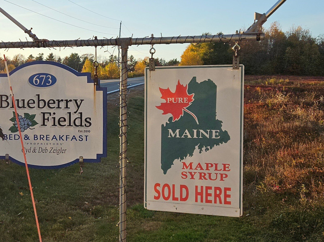 Blueberry Fields Bed & Breakfast主图
