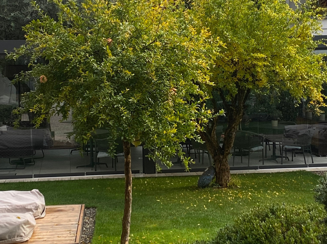 Boutique Hotel Zum Rosenbaum主图