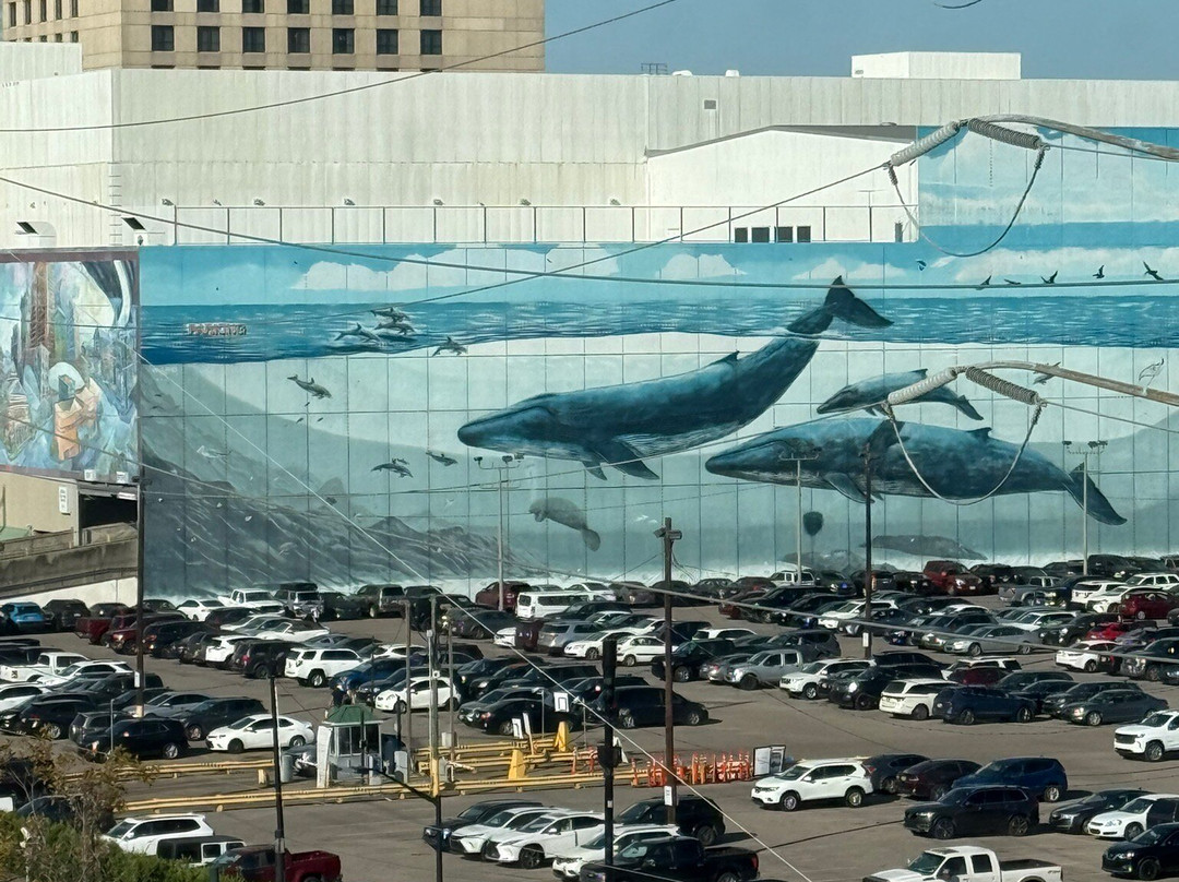 新奥尔良会议中心万豪酒店主图