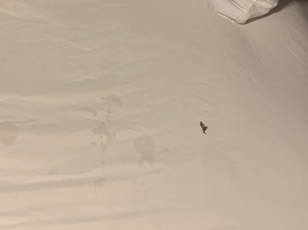 Red Roof Inn Dayton South - Miamisburg主图