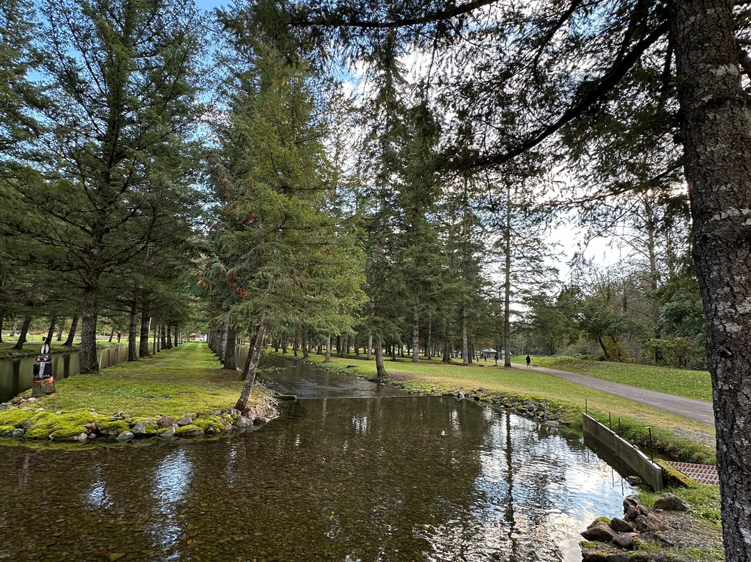 Weaver Creek Spawning Channel Recreation Site-阿加斯市必去景点