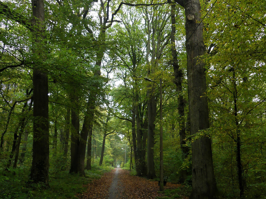 Forêt d'écouen景点图片