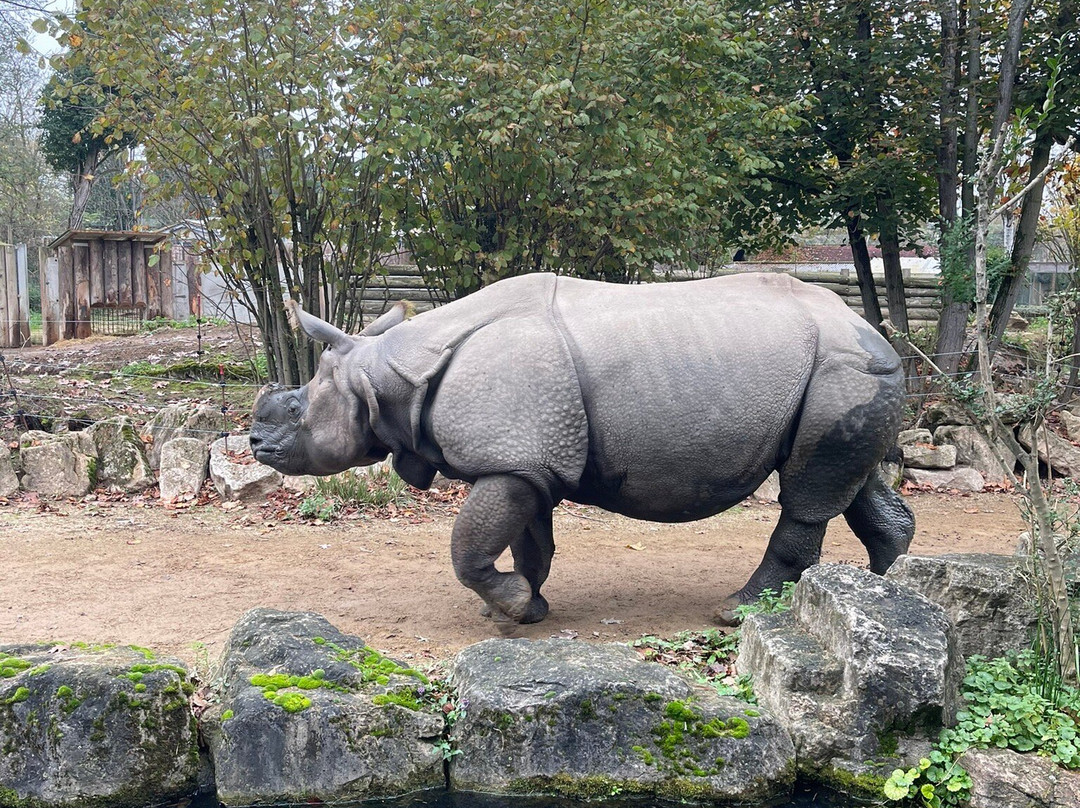 Touroparc Zoo景点图片