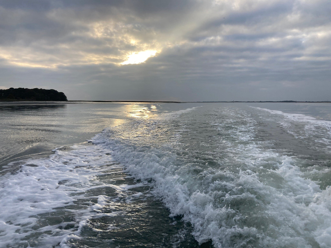 Chichester Harbour Water Tours景点图片
