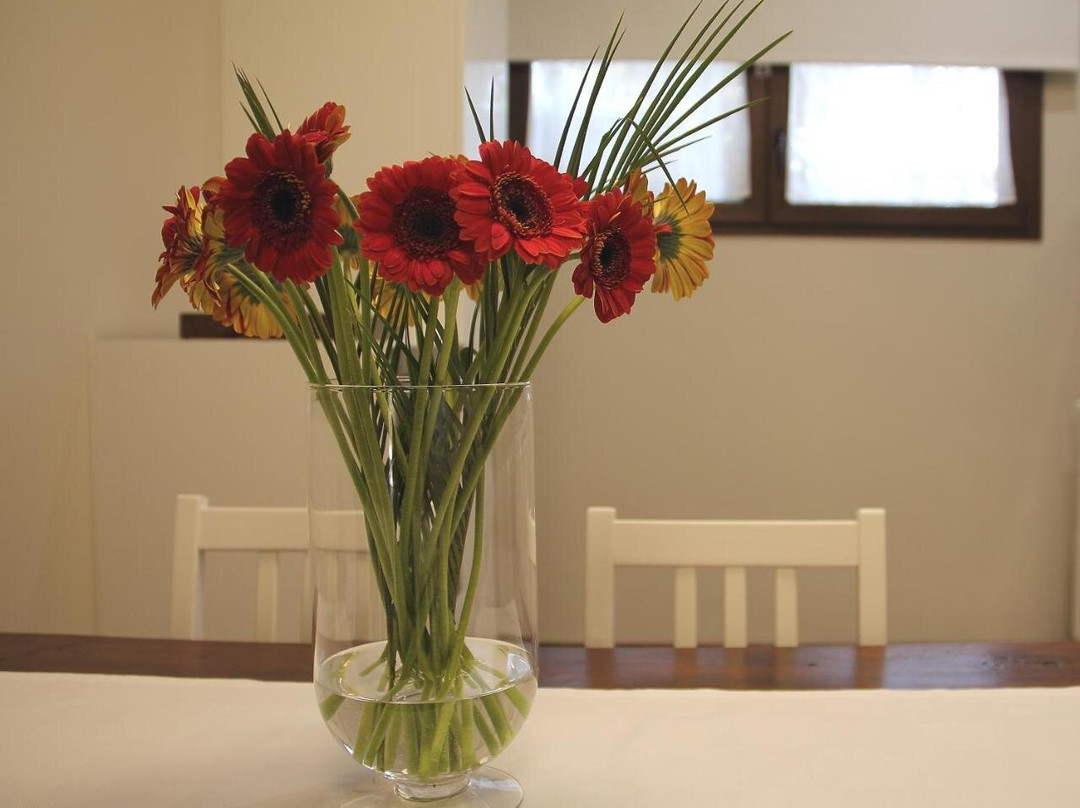 Villanovaforru酒店住宿-B & B Casa Olla