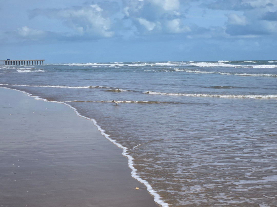 Courtyard by Marriott South Padre Island主图