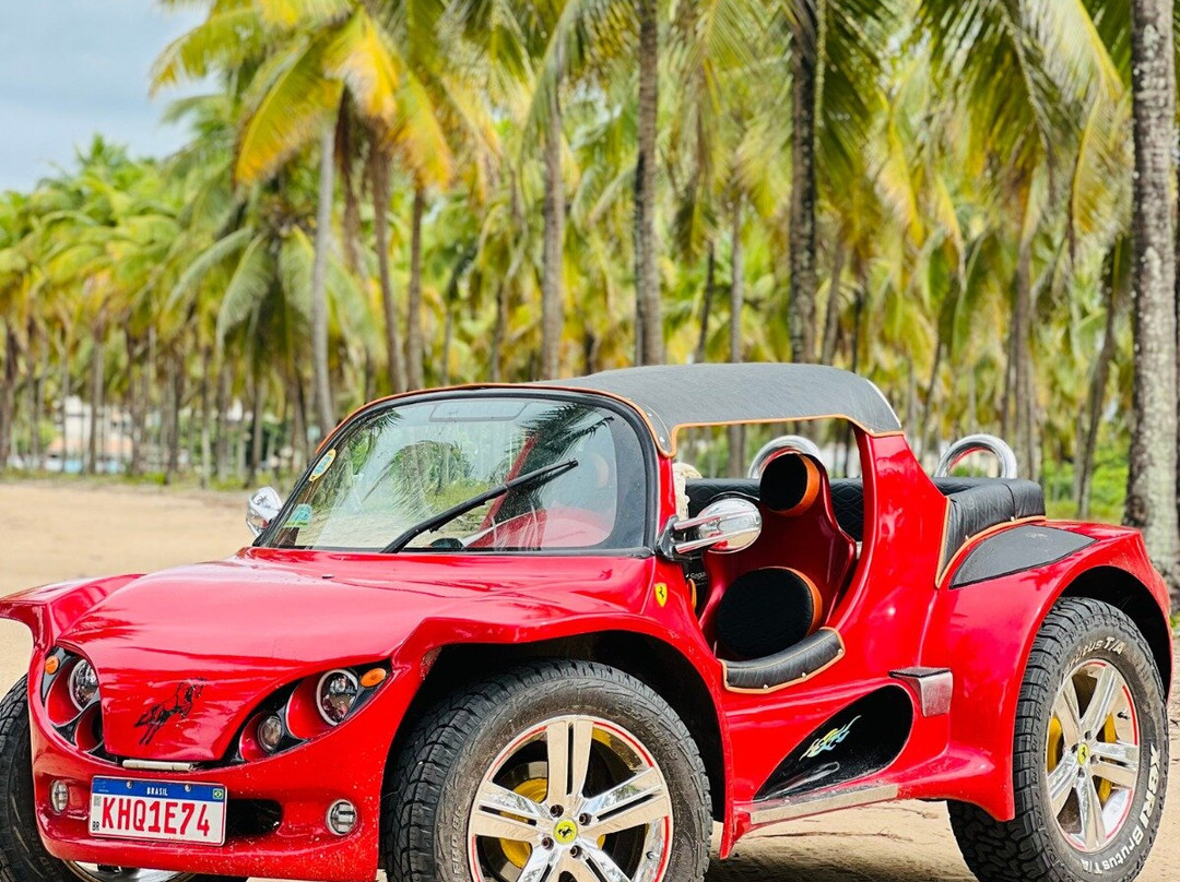 Porto Buggy Passeio Naldo-嘎林海斯港必去景点