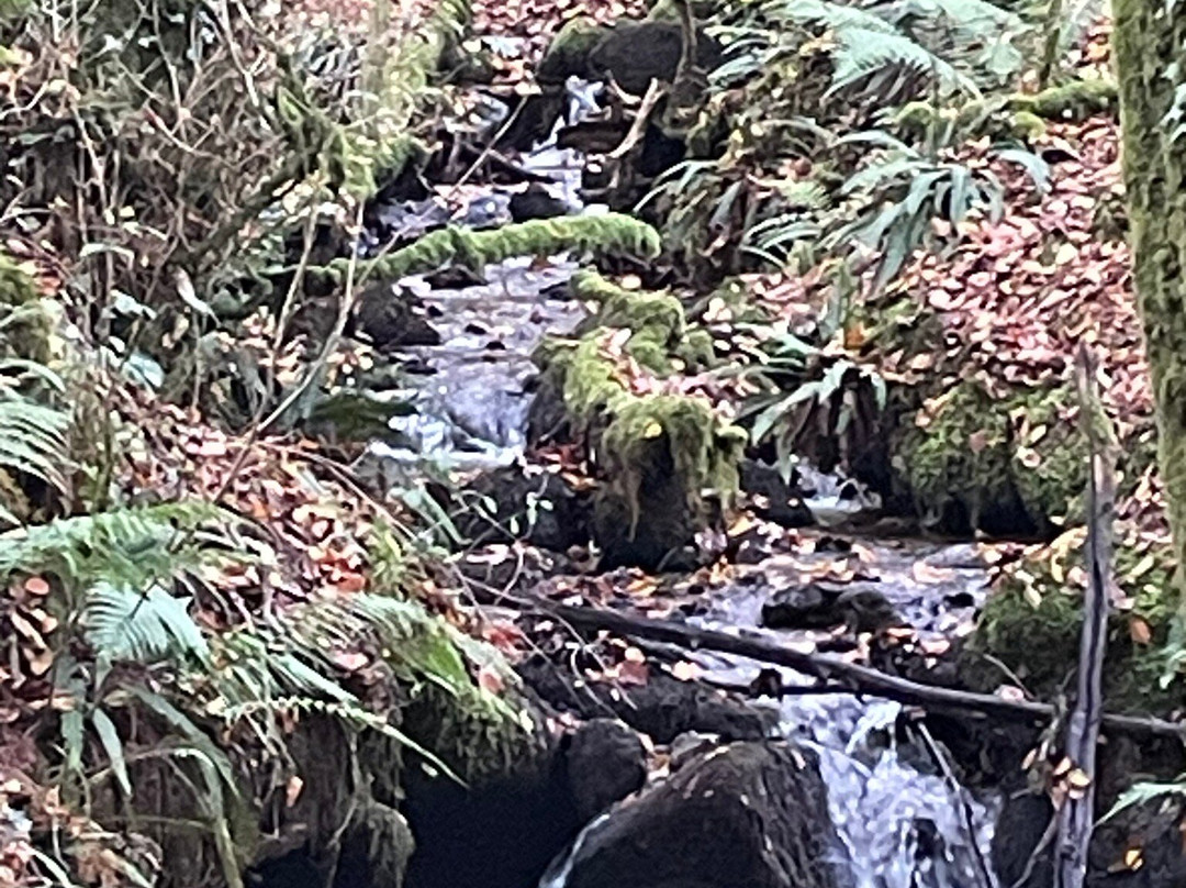 Burrator Reservoir景点图片