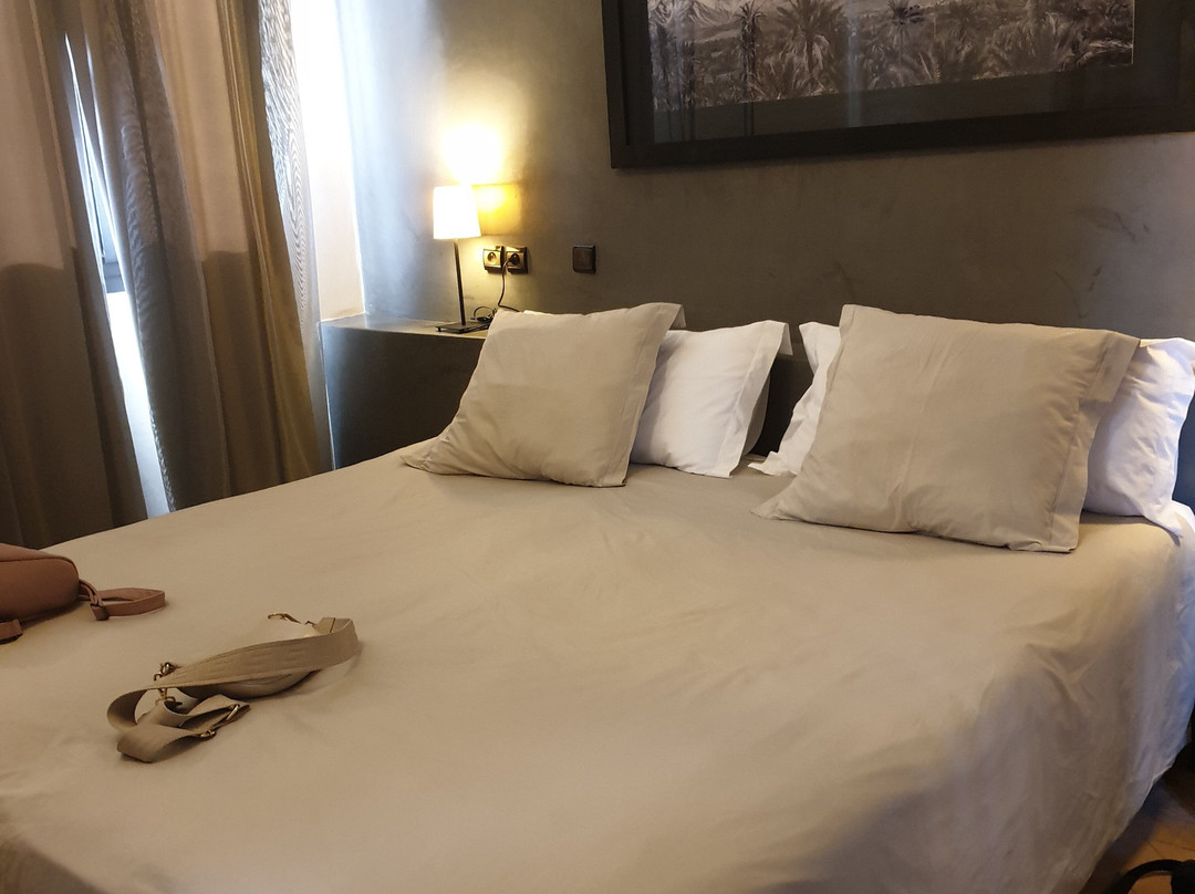 达查玛酒店主图