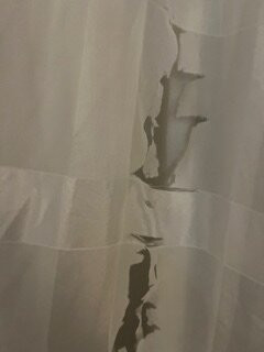 Holiday Inn Express & Suites Lansing-dimondale By IHG主图