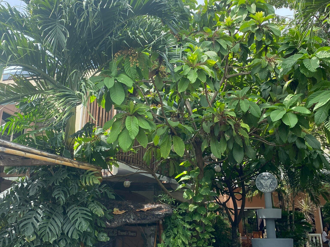 Smak's Guest House