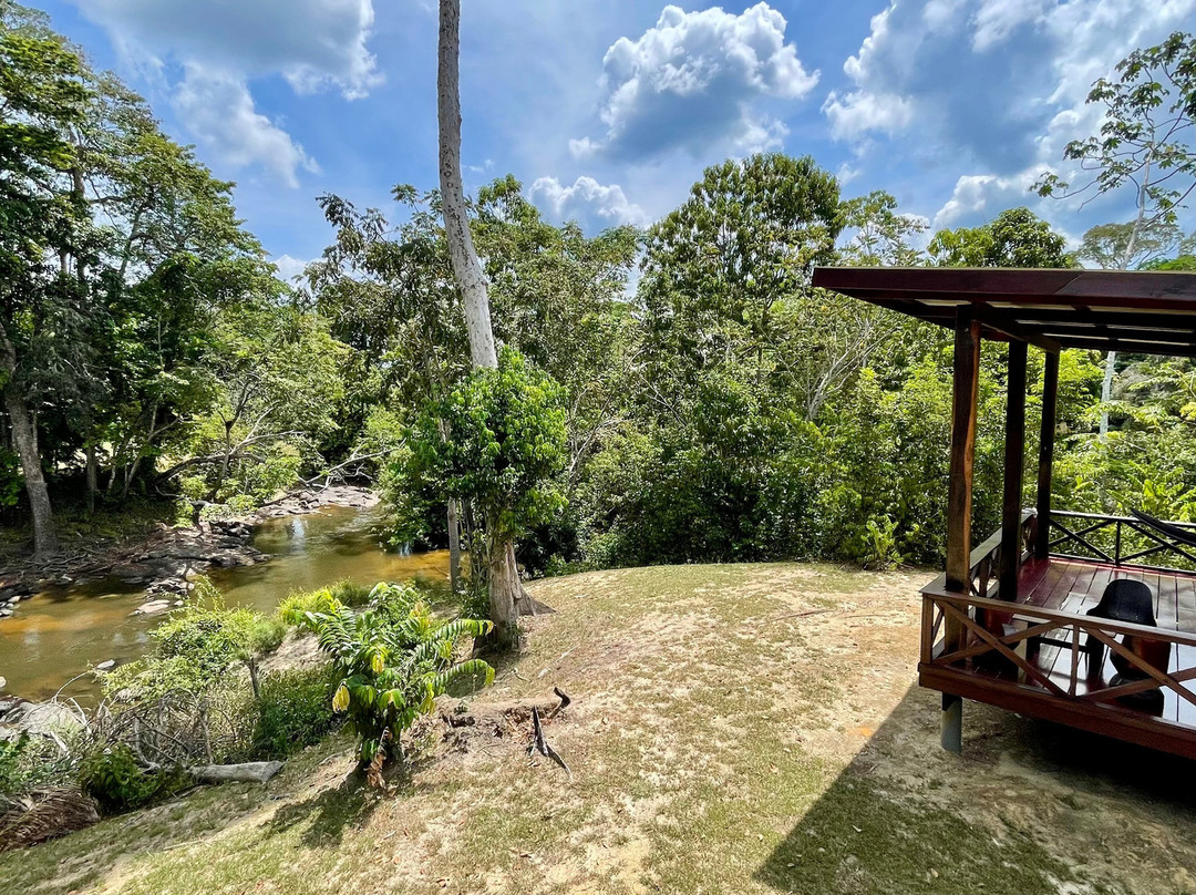 Knini Paati - Jungle & River Eco Resort主图