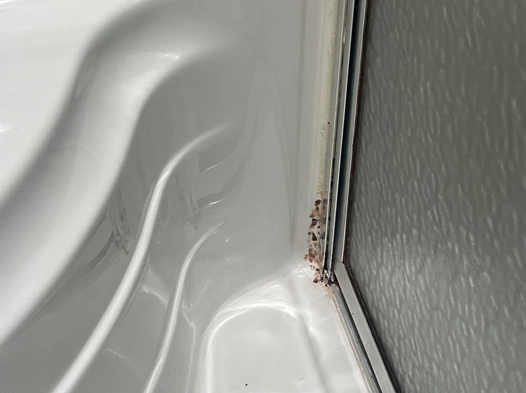 Holiday Inn & Suites Green Bay Stadium By IHG主图