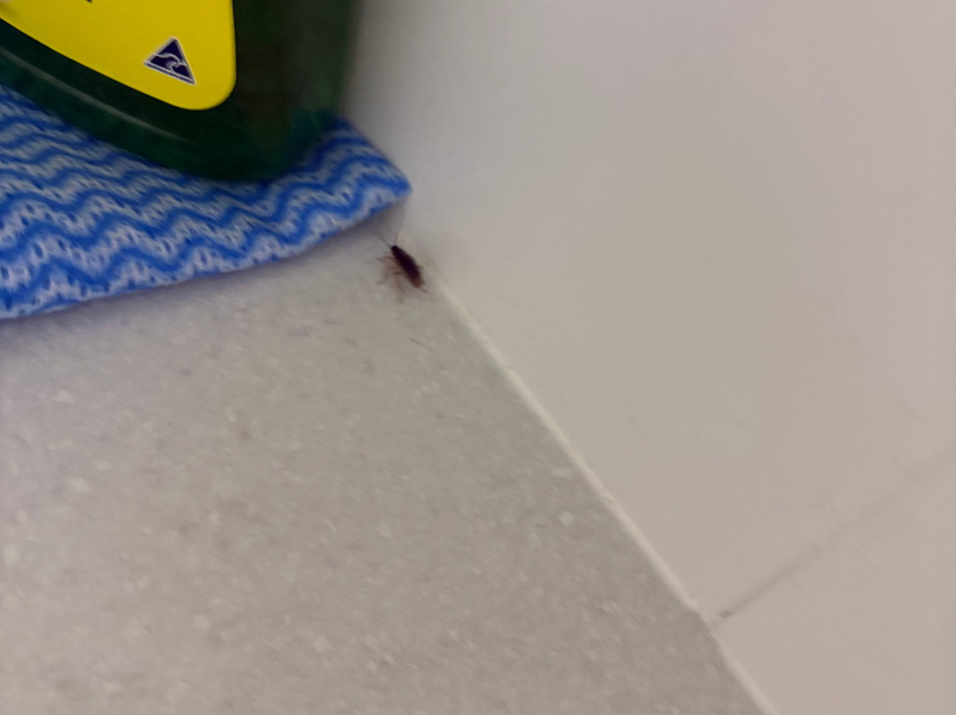 新堡雷恩旅馆主图