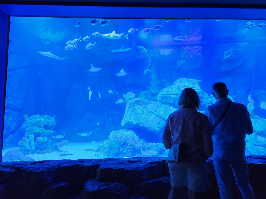 Marassi Aquarium & Underwater Zoo景点图片