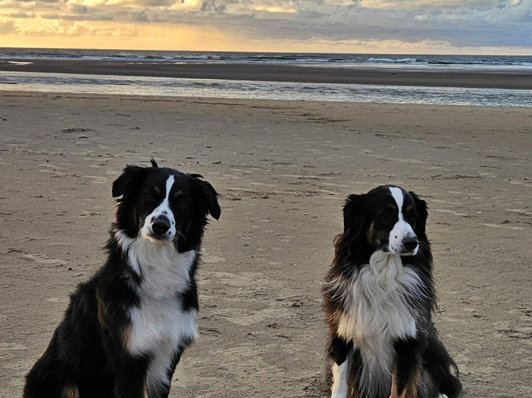 Land's End at Cannon Beach主图