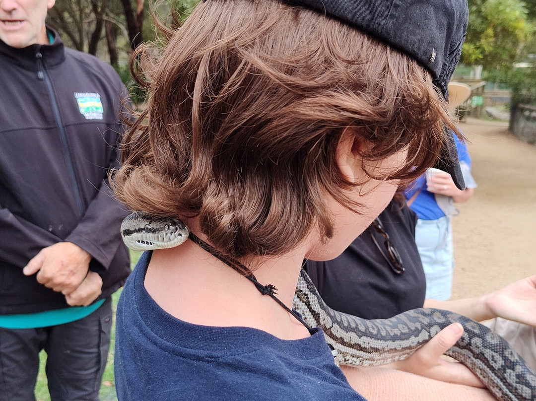 Urimbirra Wildlife Park-维克多港必去景点