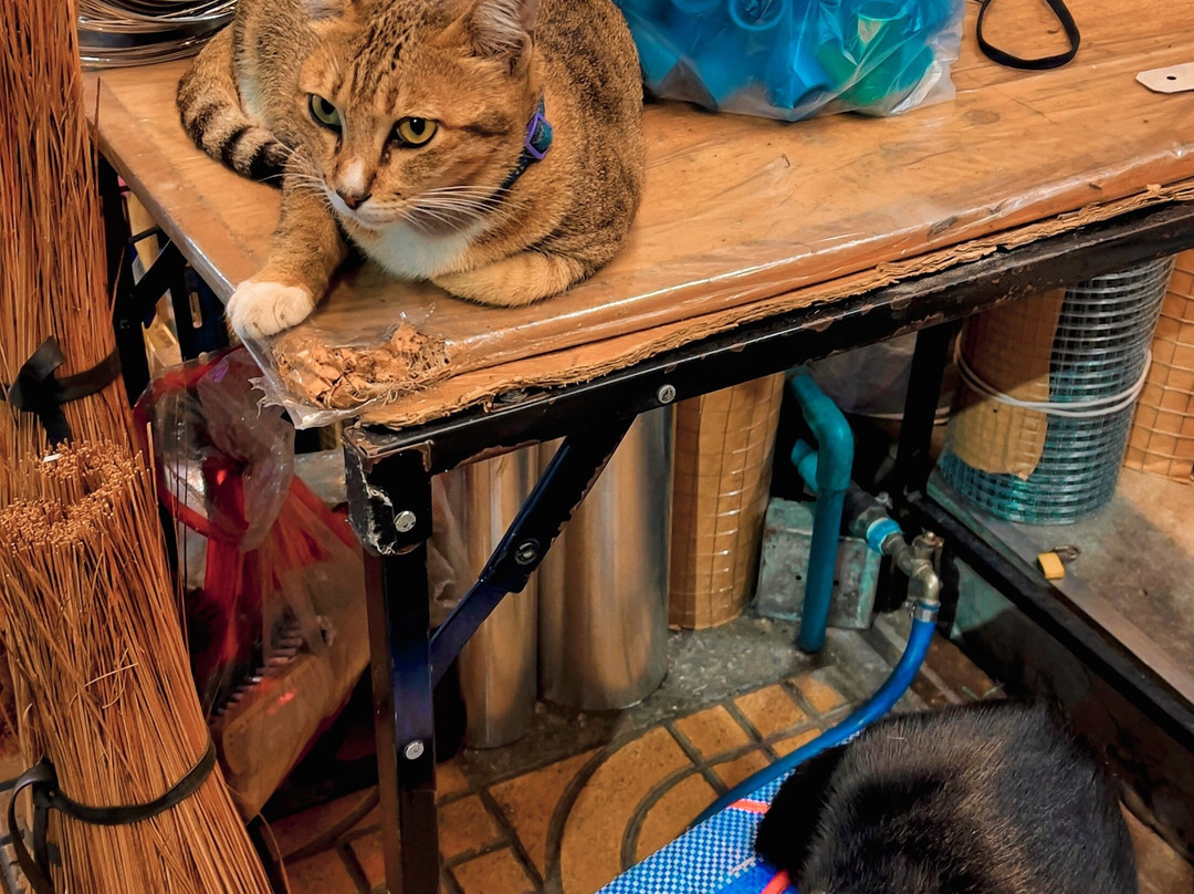 高新区府廊曼机场公寓主图