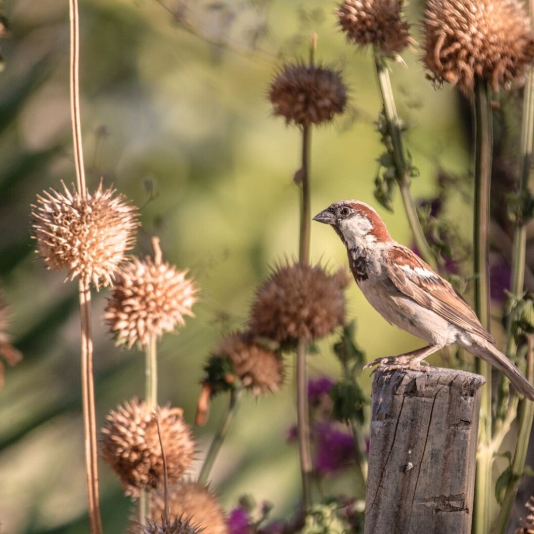 Ebonymoon Guest House and Studio-浴室