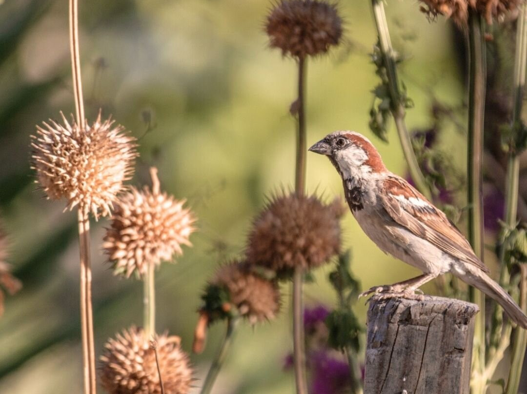 Ebonymoon Guest House and Studio主图