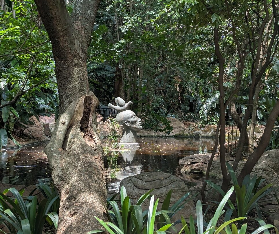 Pretoria National Botanical Garden景点图片