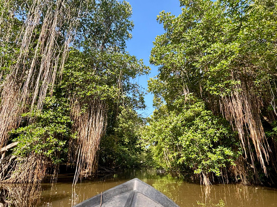 Riu Manga Tours-亚洪加拉必去景点