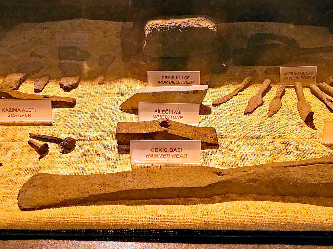 Ancient Shipwreck Museum景点图片