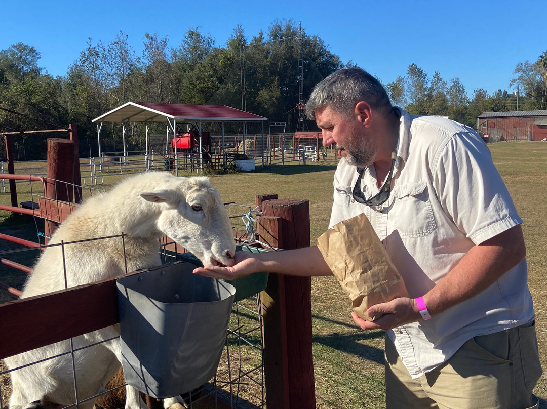 Petting zoo ocala-奥卡拉必去景点