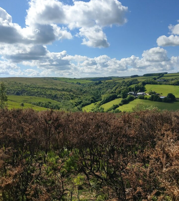 Pine Lodge Riding On Exmoor景点图片